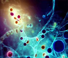 Small Molecule Compounds and the STAT3 Signaling Pathway